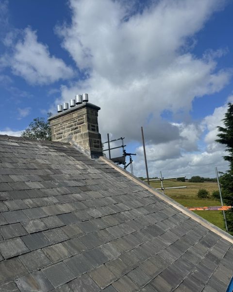 453501906_1258310311799206_7103766400258196847_n